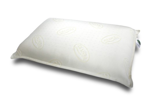 Ventry pillow best sale