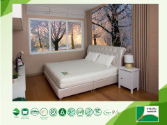 Ventry Memoza