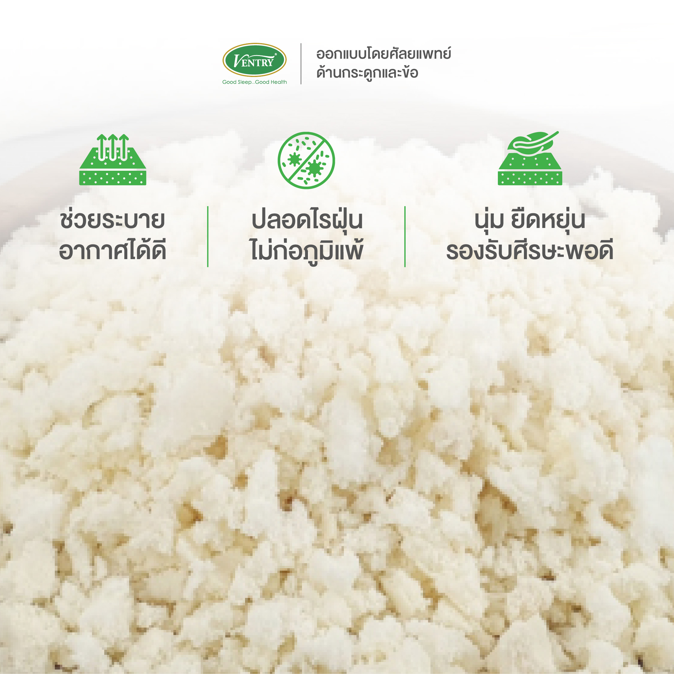 Ventry Comfort Bolsterหมอนข้างยางพาราปั่นอัดแน่น - Image 4