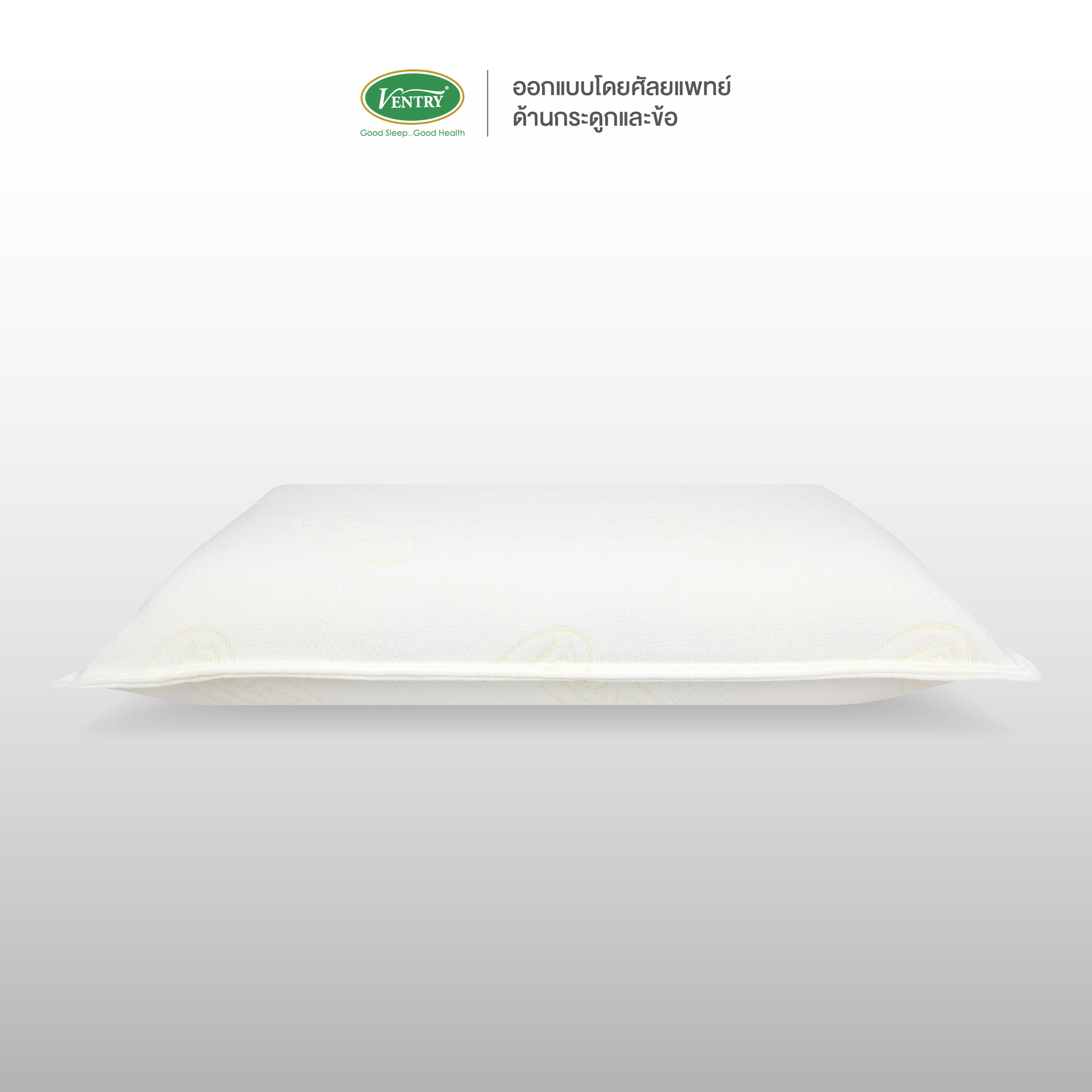 Ventry Standard Pillow - Image 2