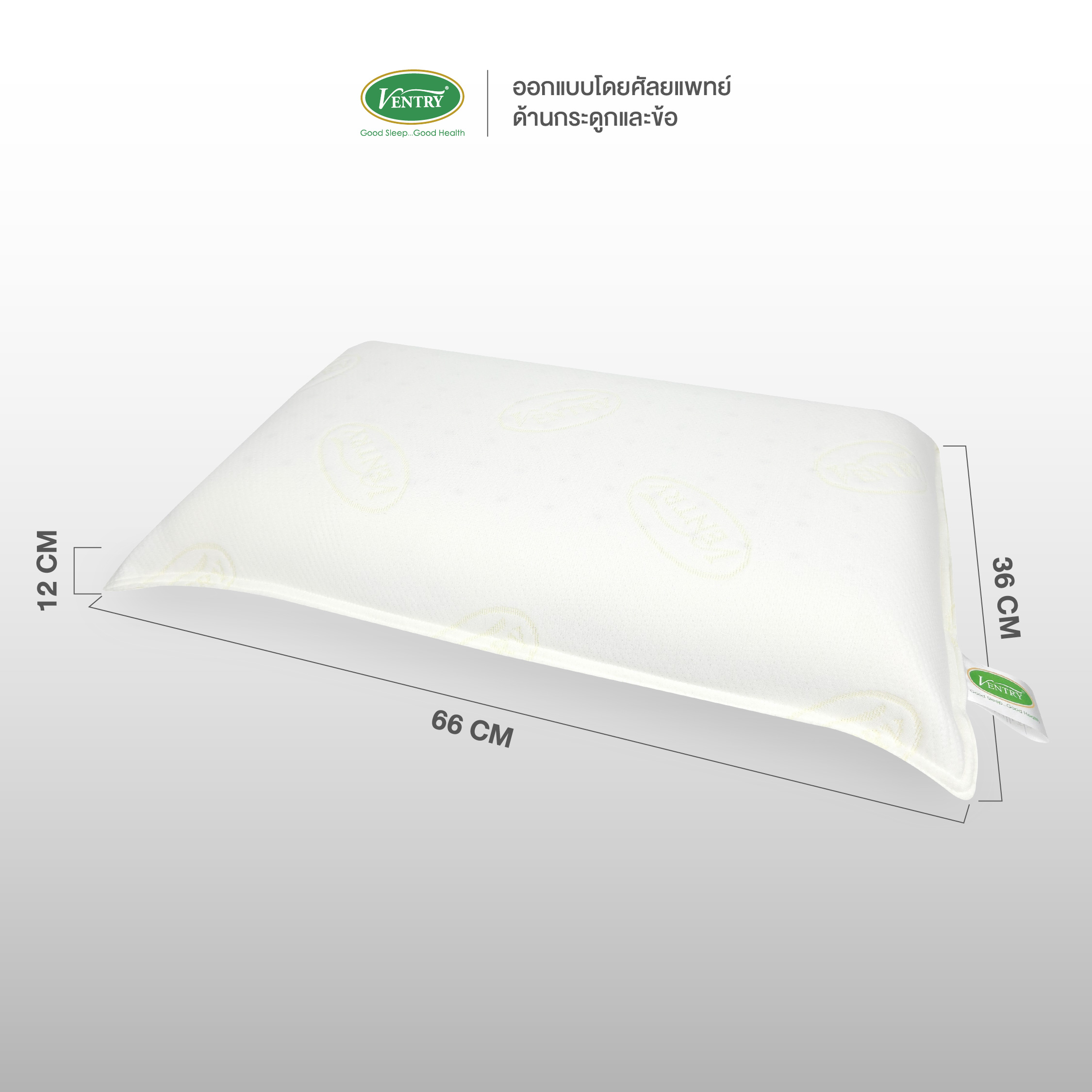 Ventry Standard Pillow - Image 4